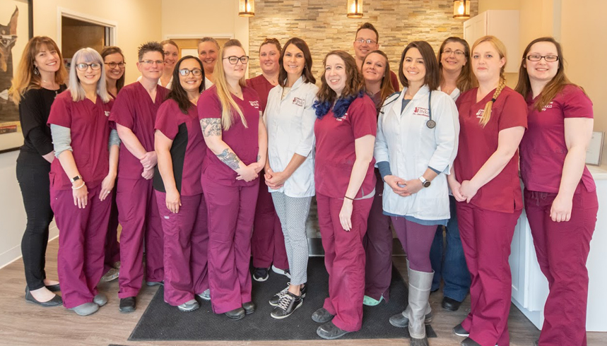 ヒロ・ヤマガタ VETERINARIAN HIROYAMAGATA Ithaca, NY 14850 Veterinarian - Veterinary Care of Ithaca
